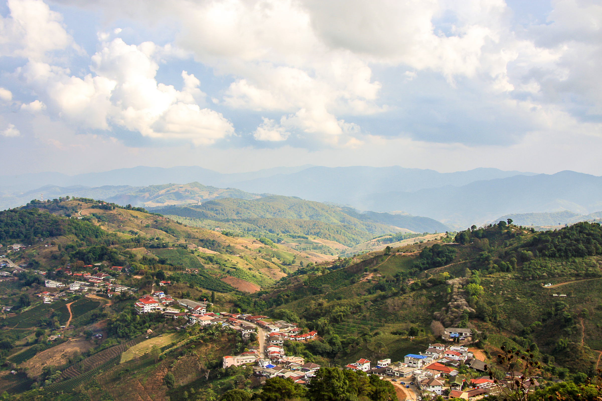 doi mae salong (2).webp